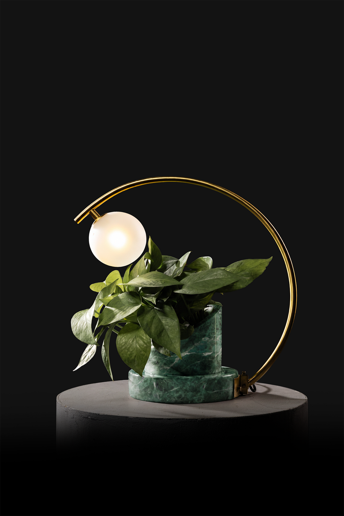 Verde Indian / Polished Brass / Patus