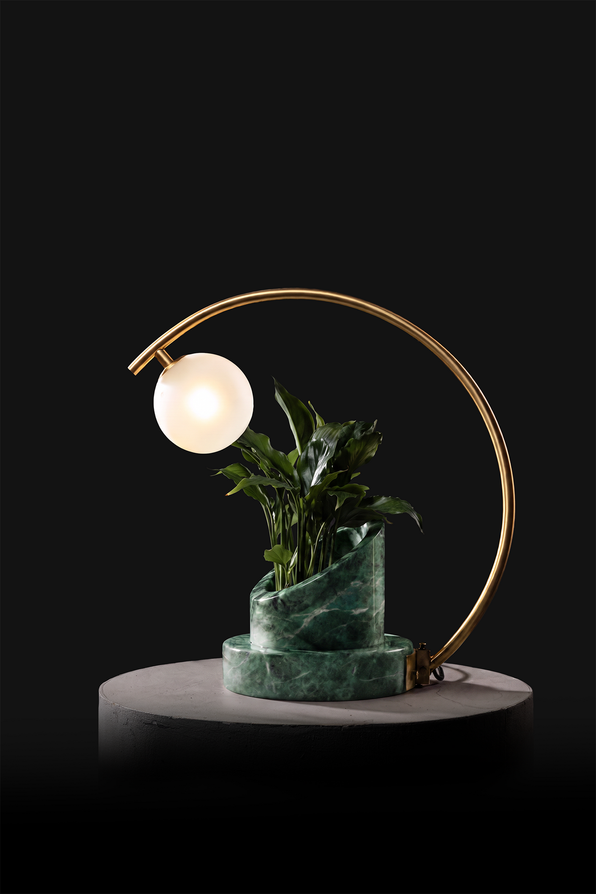 Verde Indian / Polished Brass / Spathiphyllum