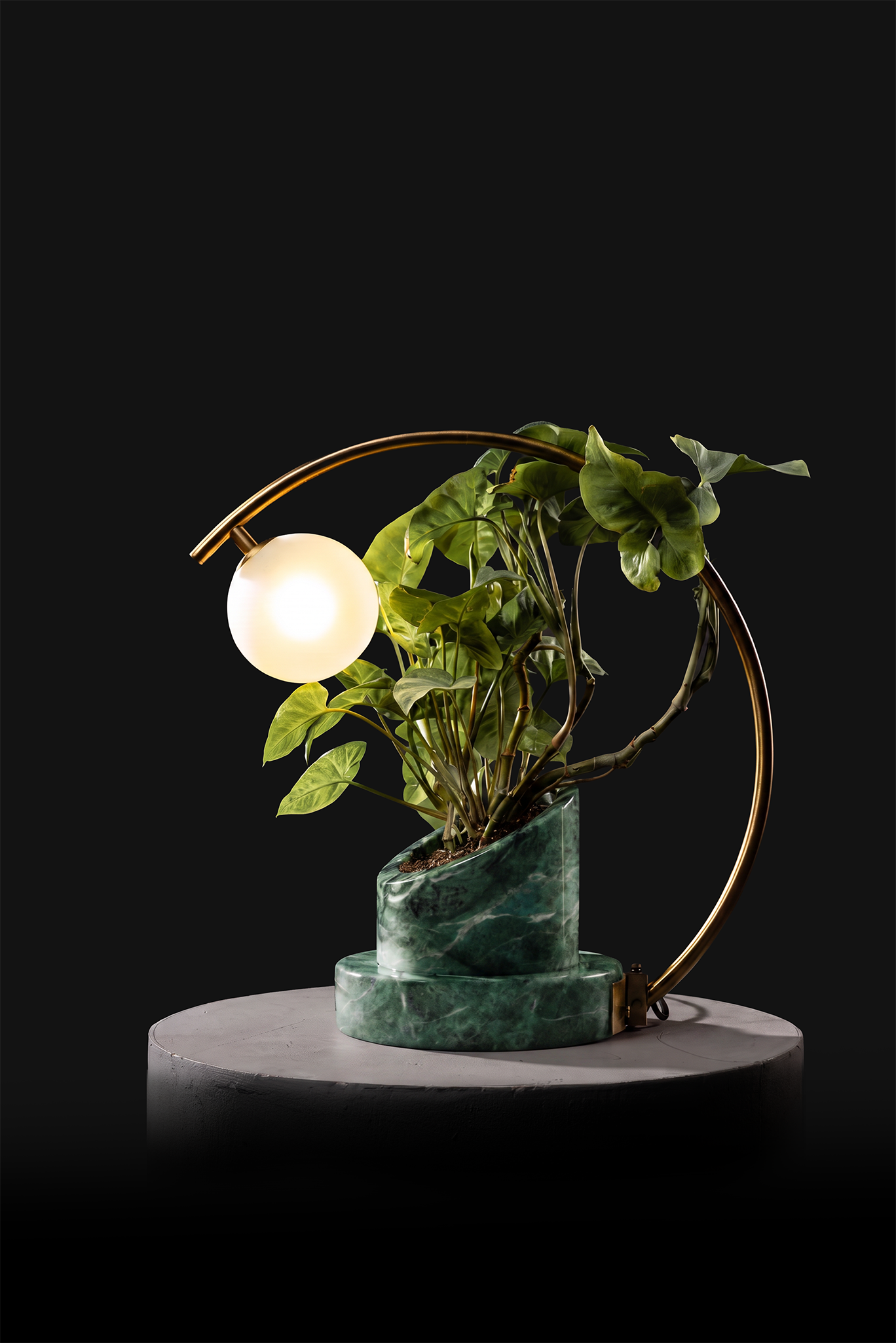 Verde Indian / Polished Brass / Custom