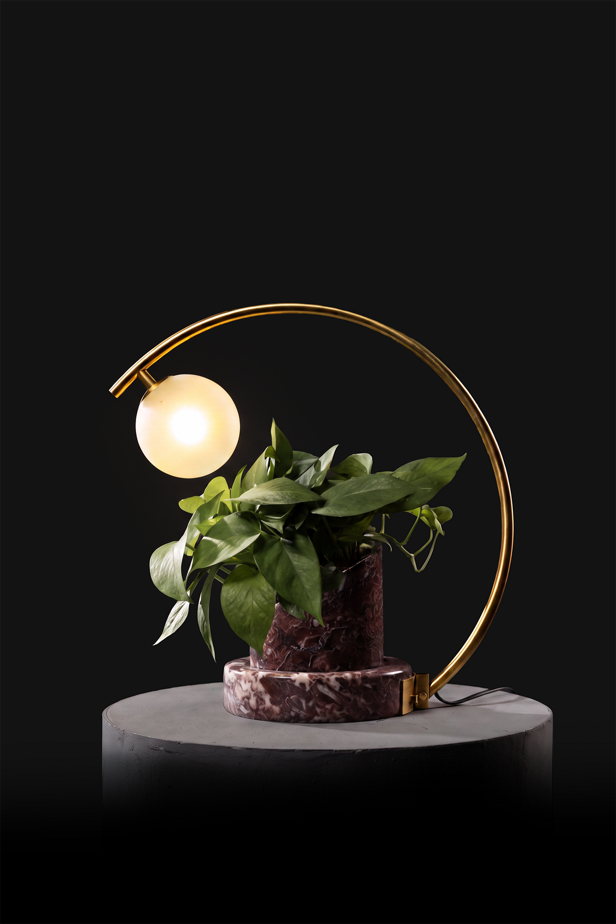 Agadir / Polished Brass / Patus