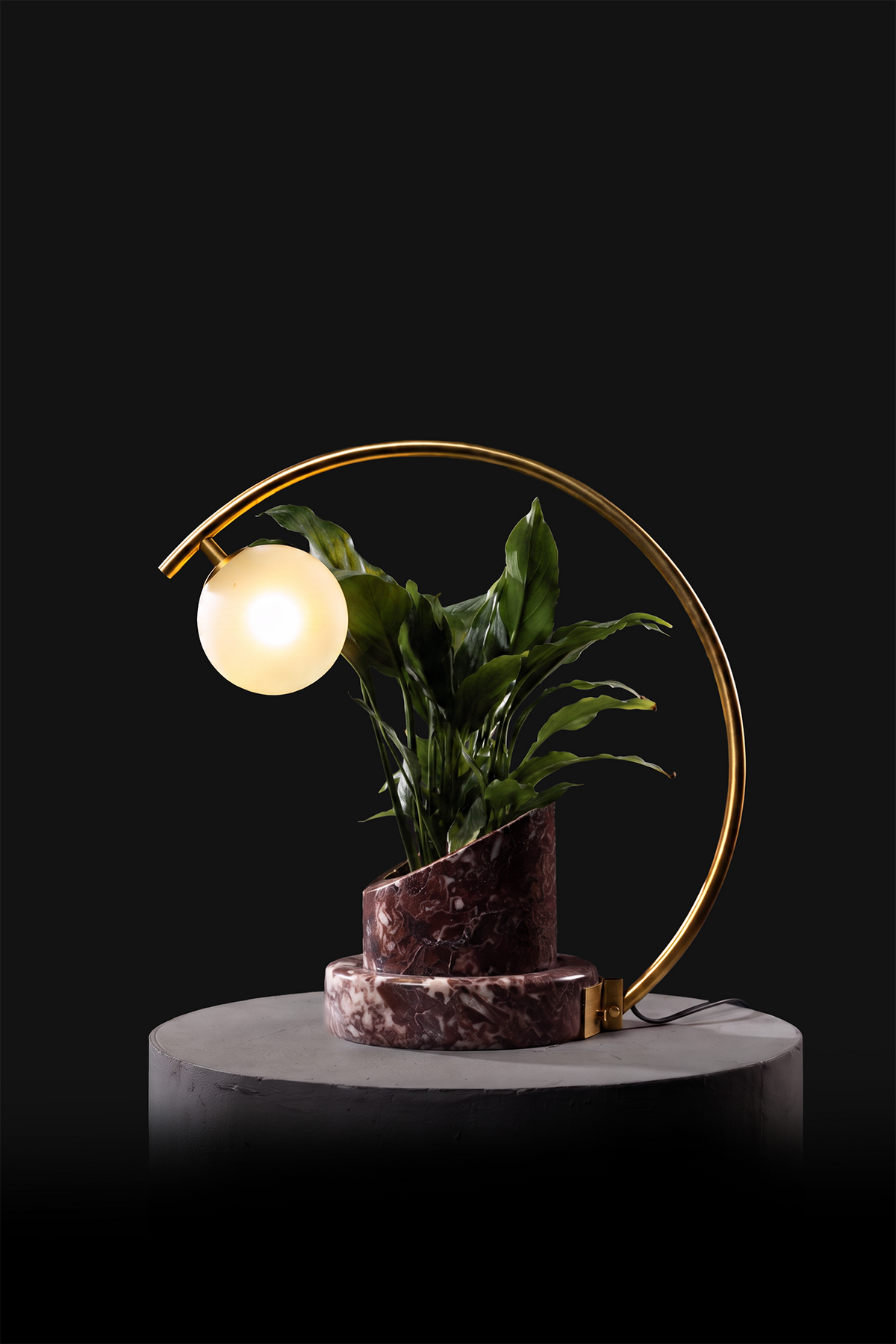 Agadir / Polished Brass / Spathiphyllum