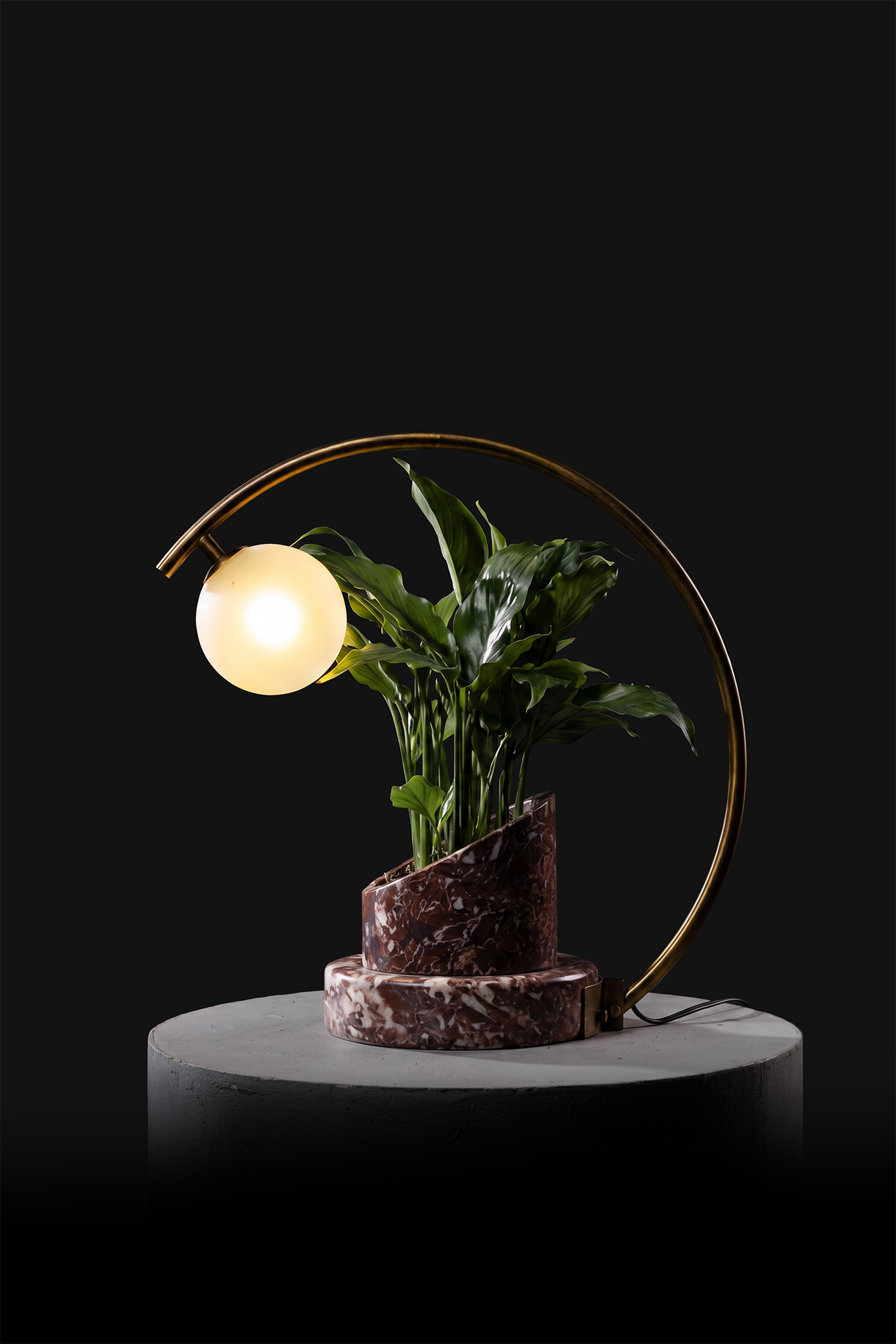 Agadir / Oxidised Brass / Spathiphyllum