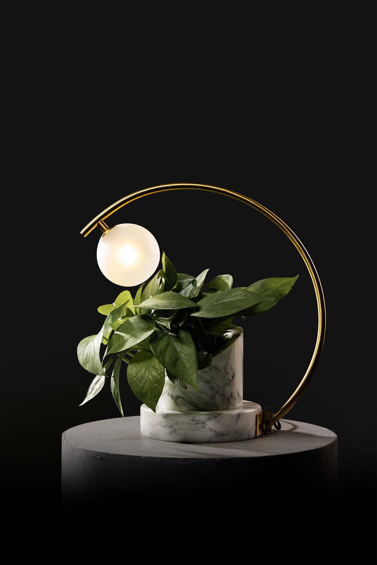 Arabescato / Polished Brass / Patus