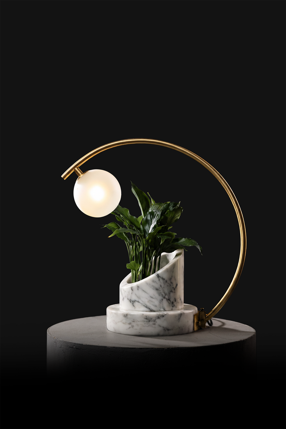 Arabescato / Polished Brass / Spathiphyllum