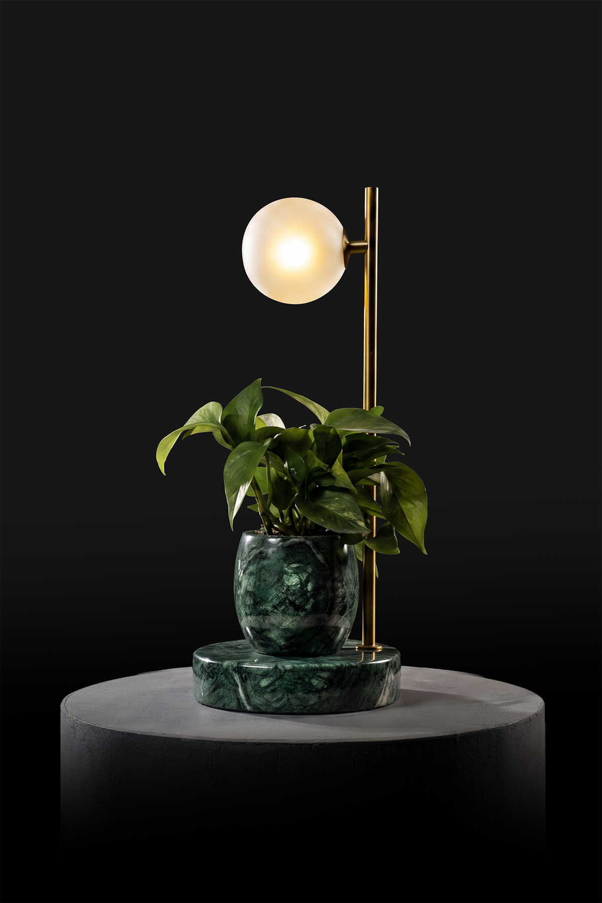 Verde Indian / Polished Brass / Patus