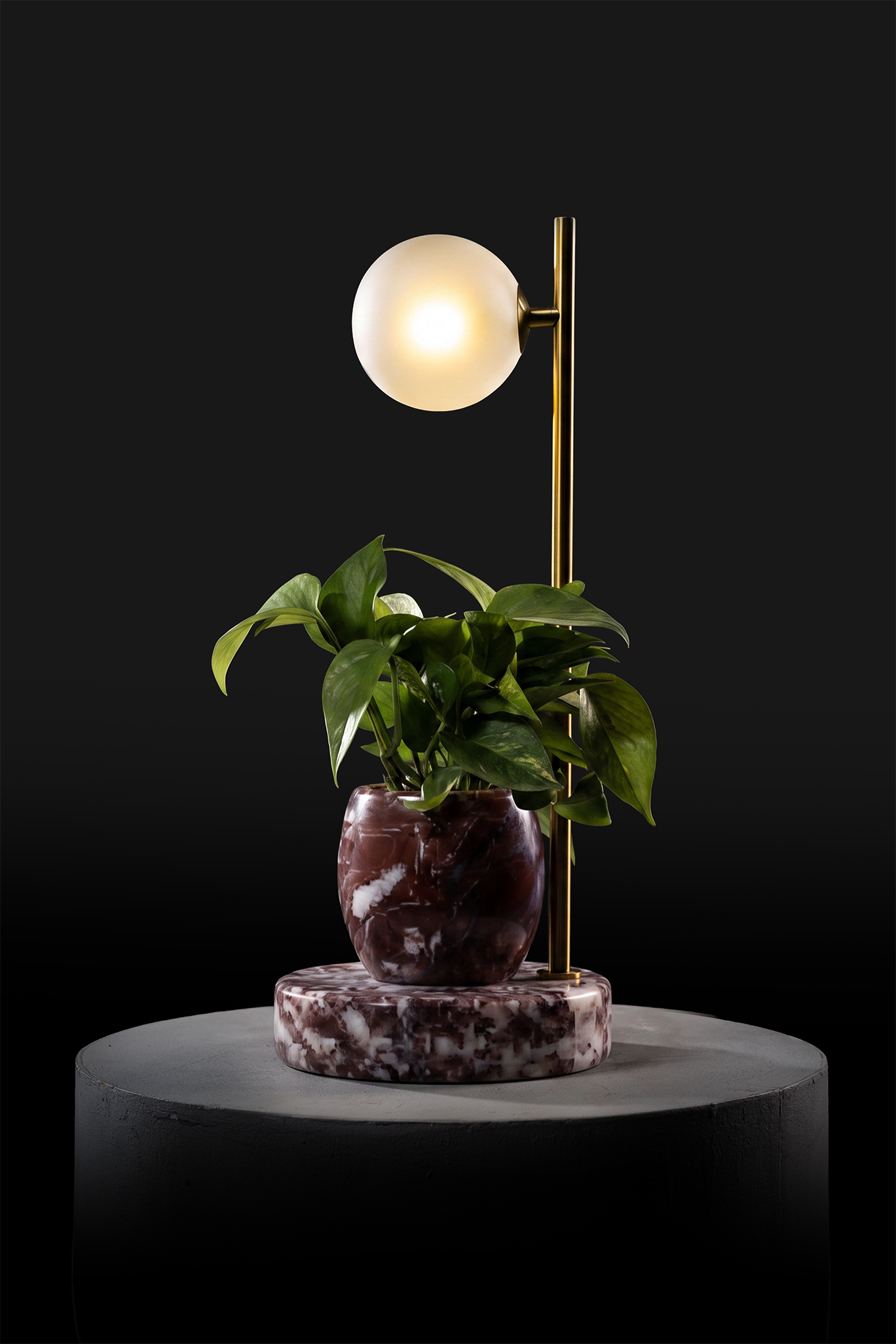 Agadir / Polished Brass / Patus