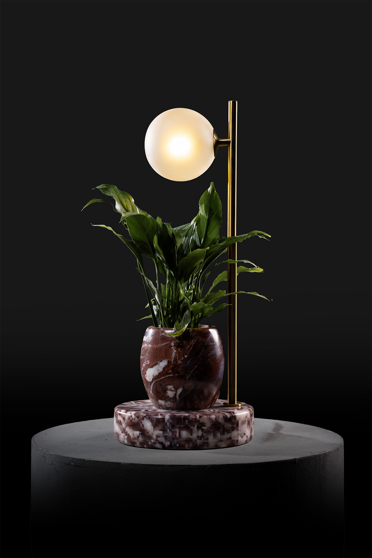 Agadir / Polished Brass / Spathiphyllum