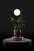 Agadir / Oxidised Brass / Spathiphyllum