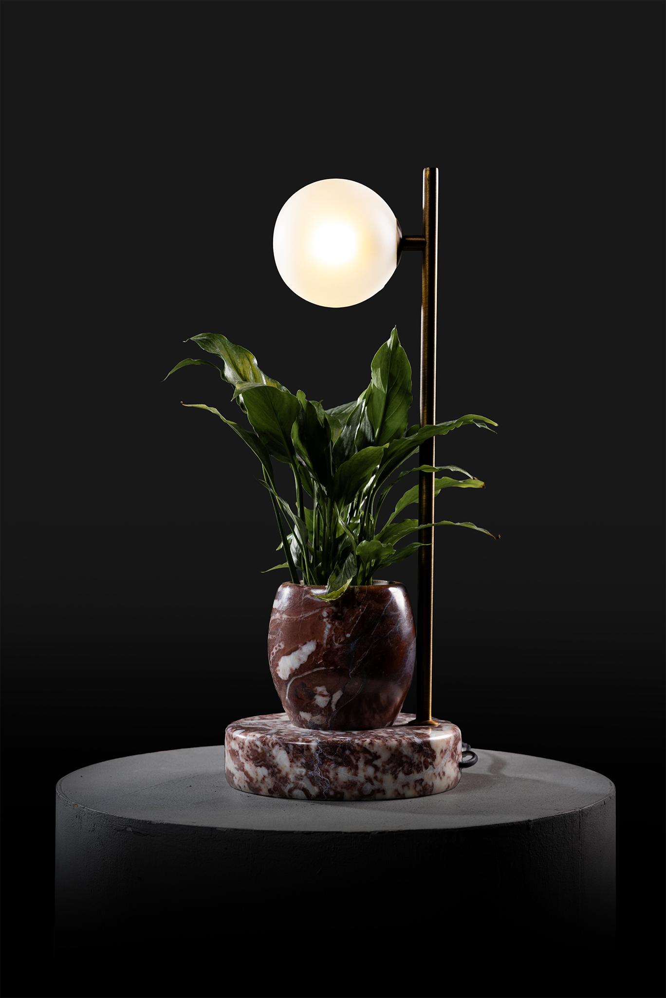 Agadir / Oxidised Brass / Spathiphyllum