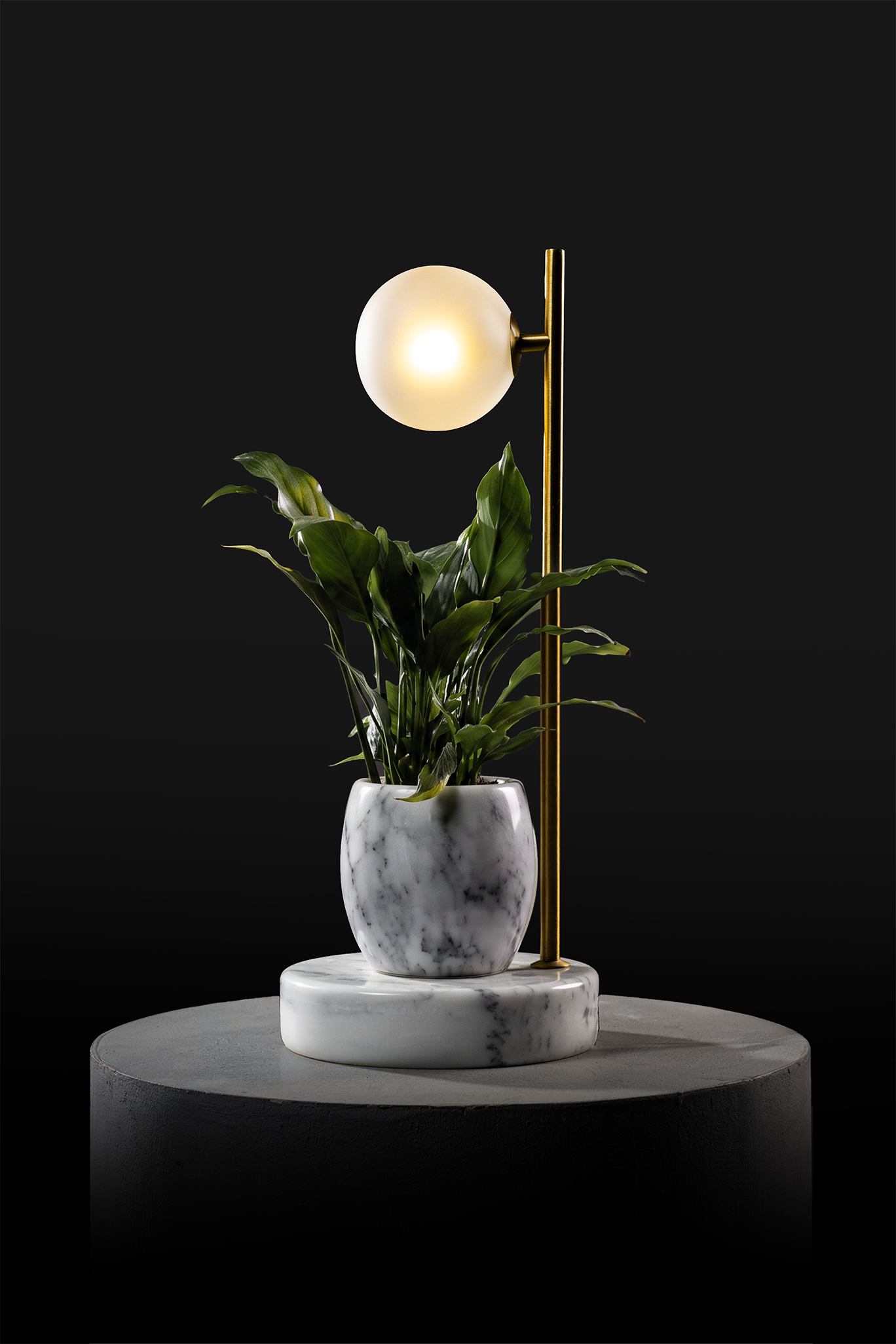 Arabescato / Polished Brass / Spathiphyllum