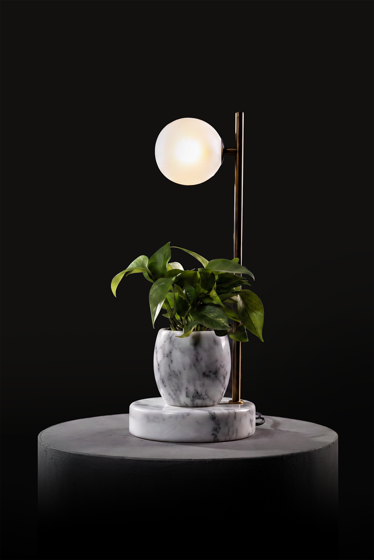Arabescato / Oxidised Brass / Patus
