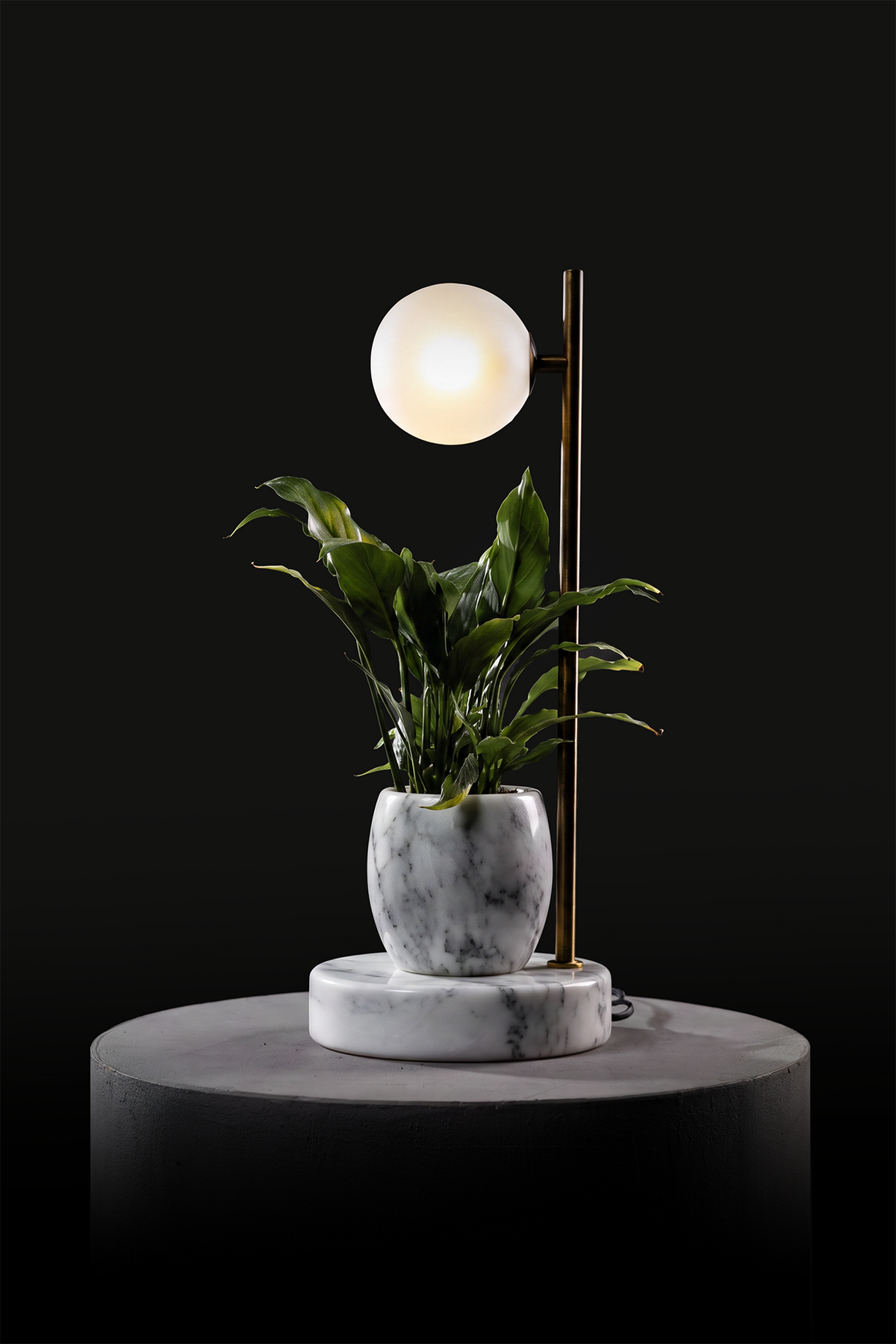 Arabescato / Oxidised Brass / Spathiphyllum
