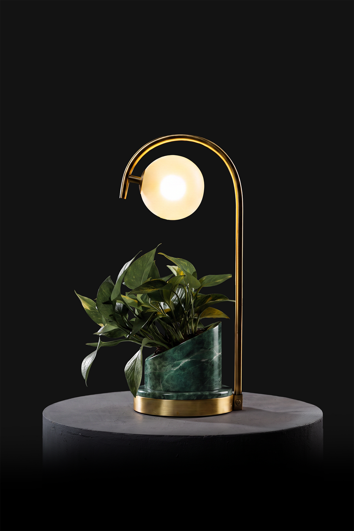 Verde Indian / Polished Brass / Patus