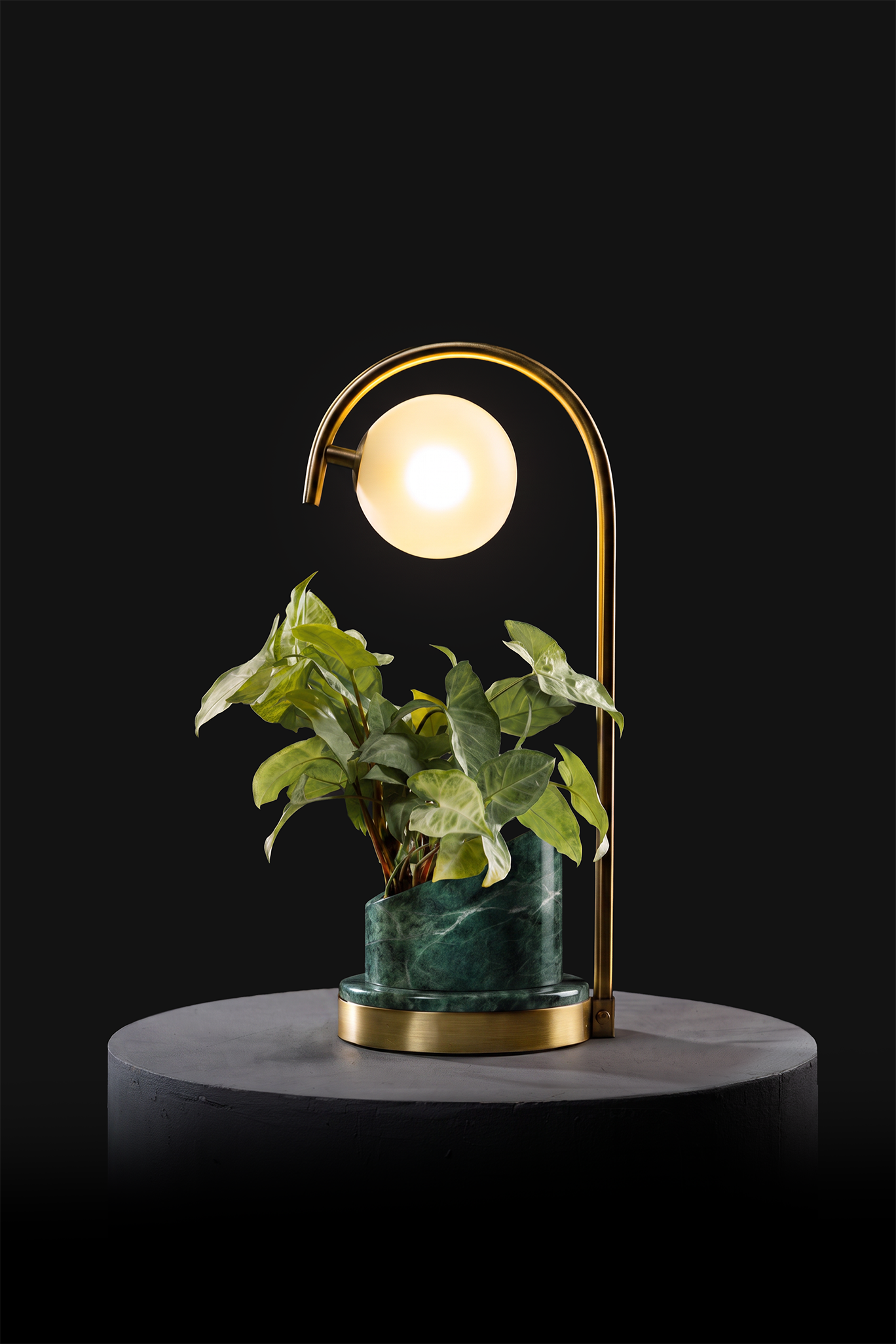 Verde Indian / Polished Brass / Custom