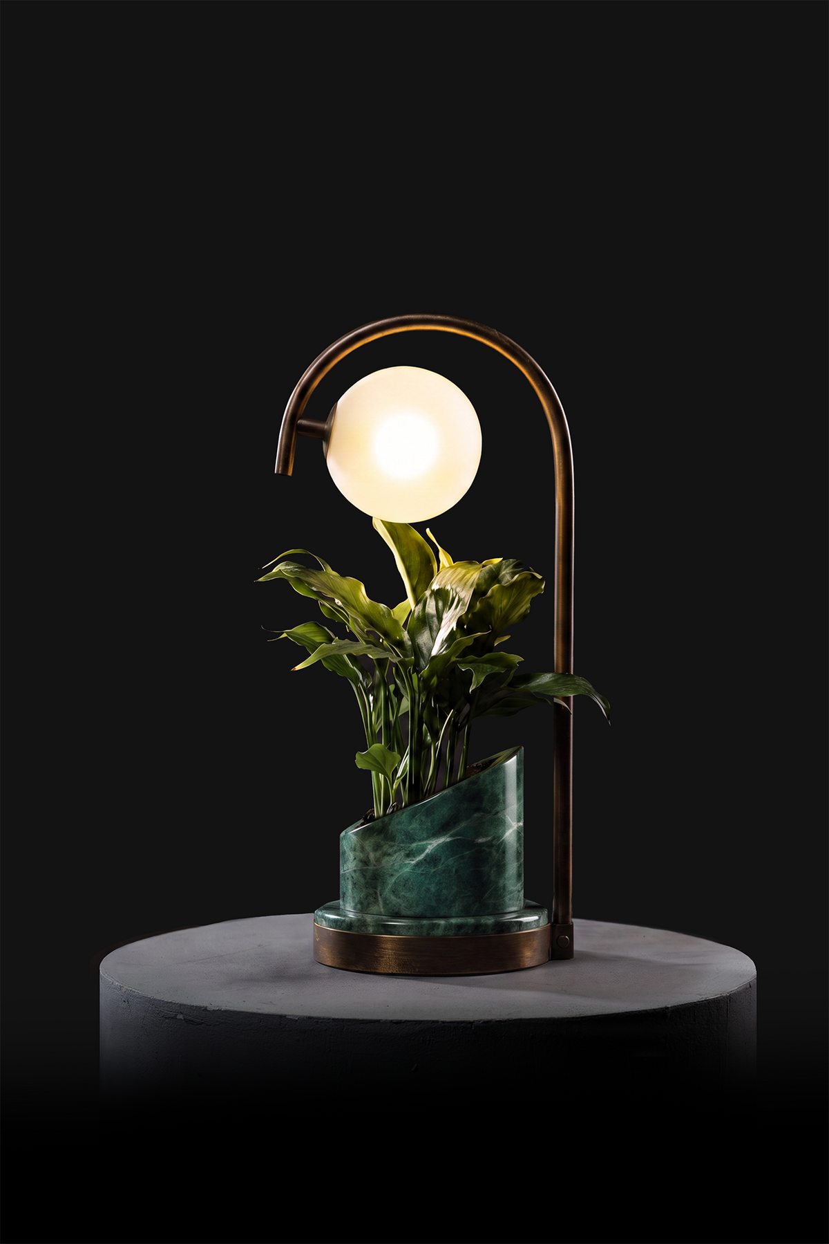 Verde Indian / Oxidised Brass / Spathiphyllum