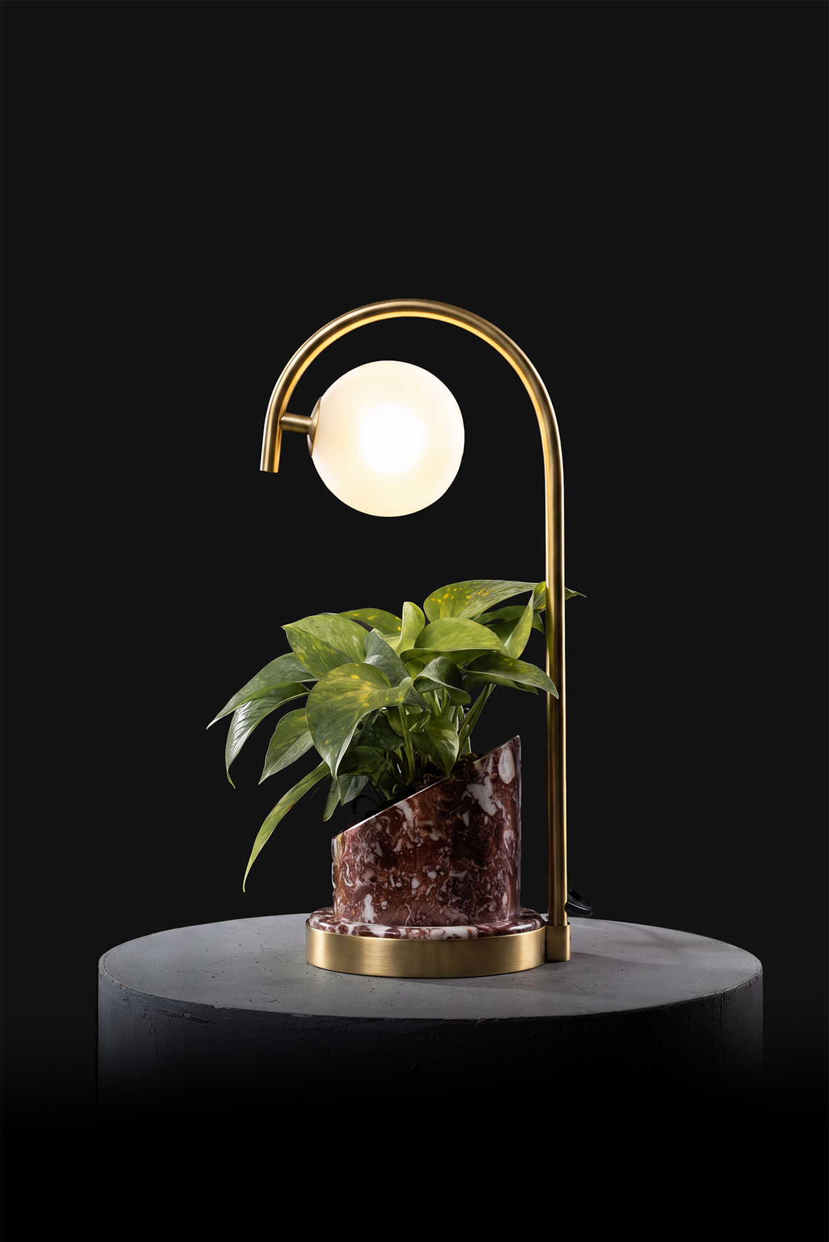 Agadir / Polished Brass / Patus