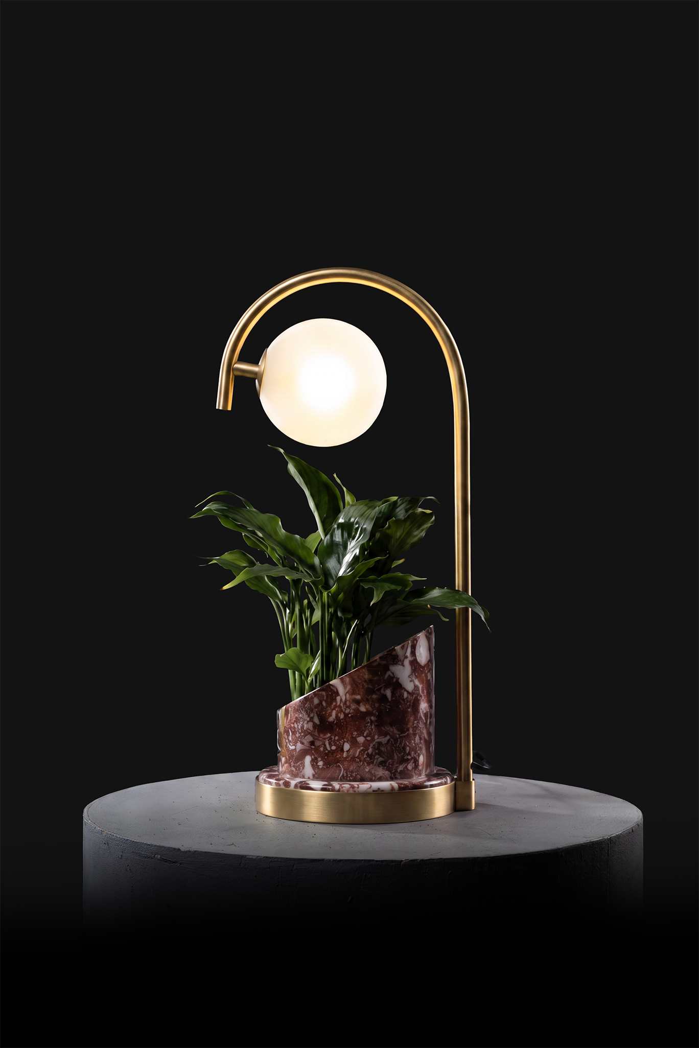 Agadir / Polished Brass / Spathiphyllum