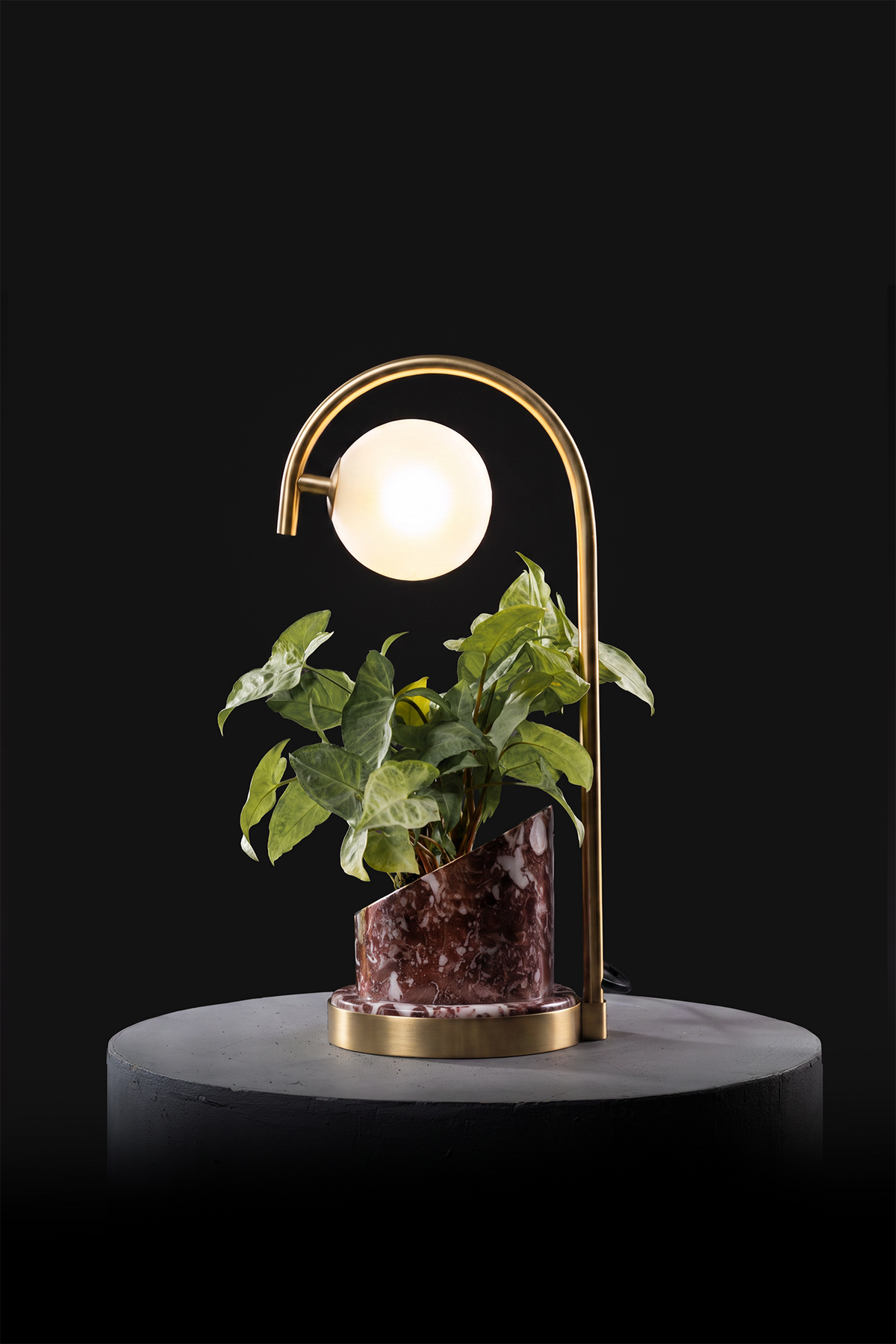 Agadir / Polished Brass / Custom