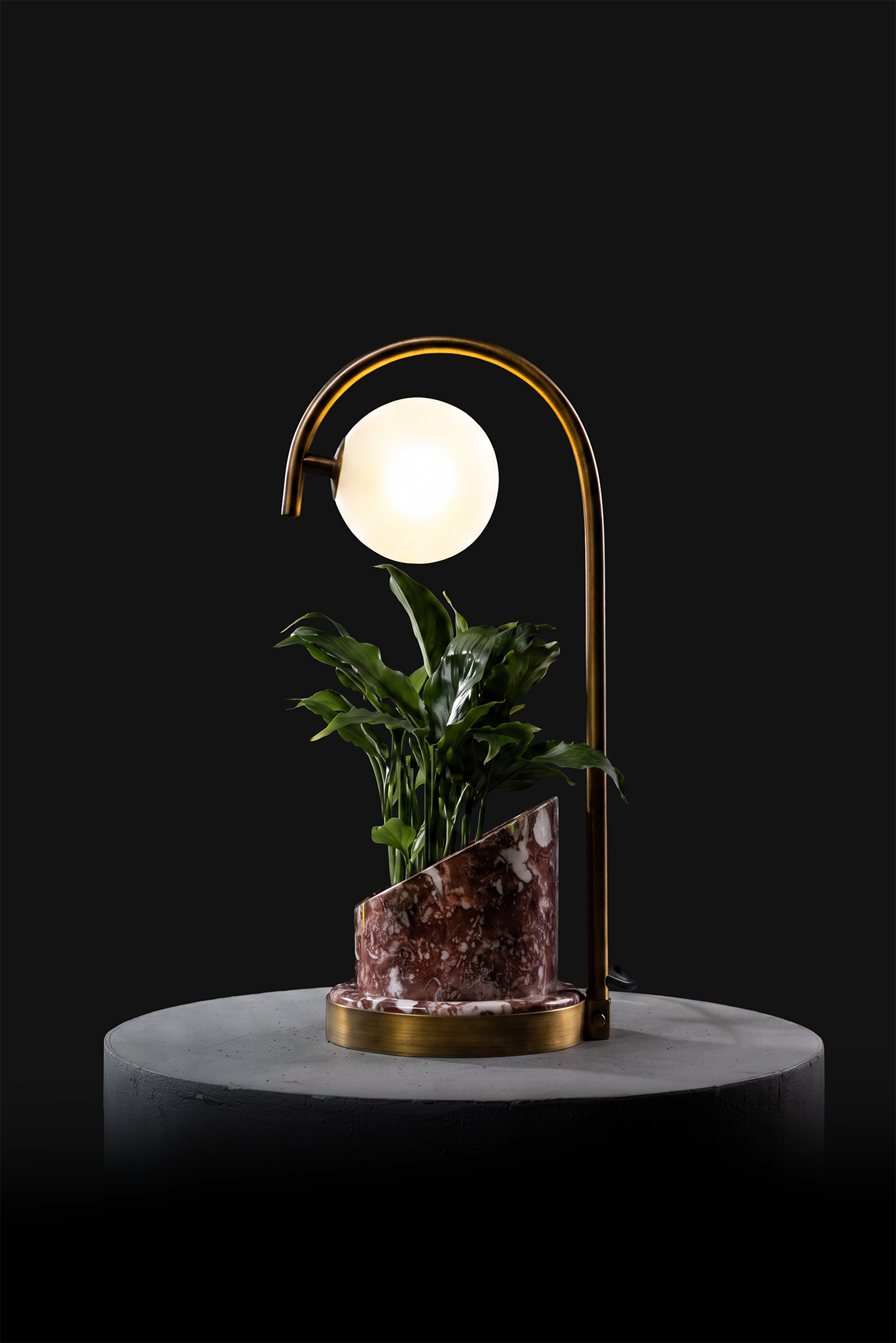 Agadir / Oxidised Brass / Spathiphyllum
