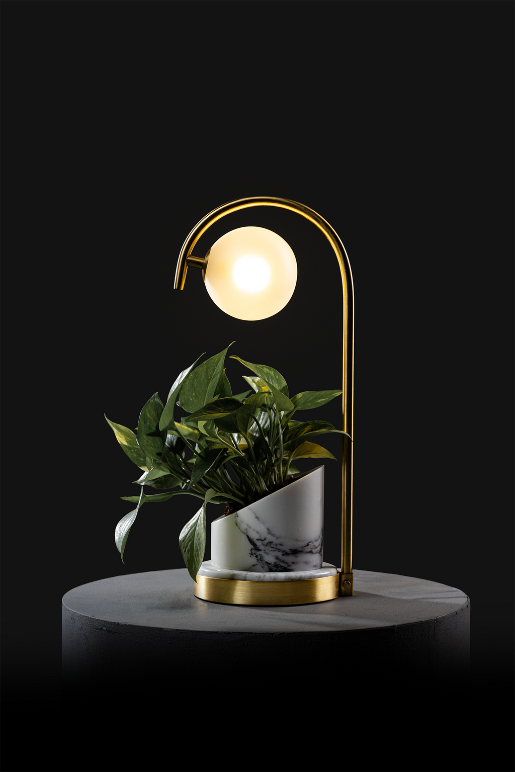 Arabescato / Polished Brass / Patus