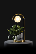 Arabescato / Polished Brass / Patus