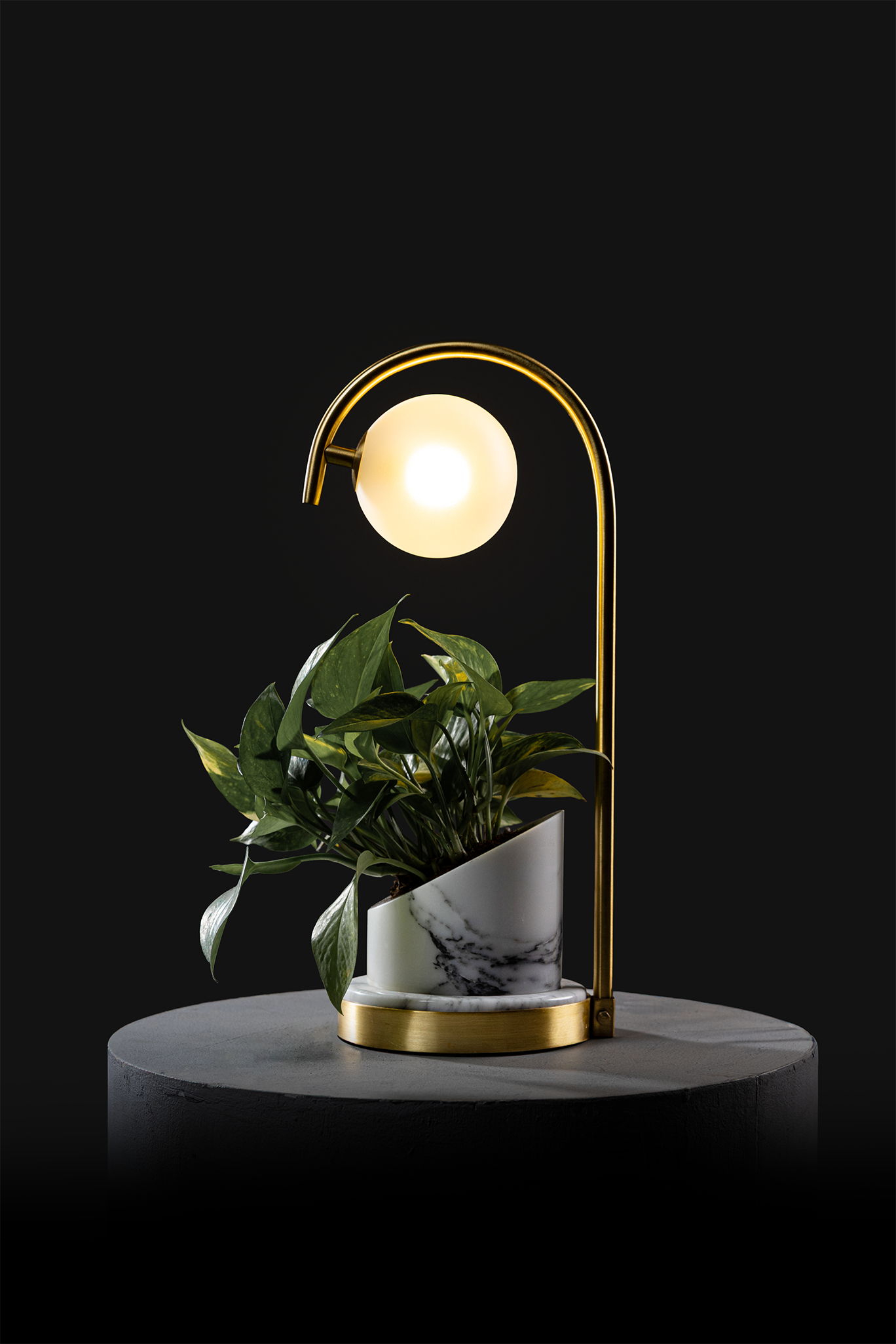 Arabescato / Polished Brass / Patus
