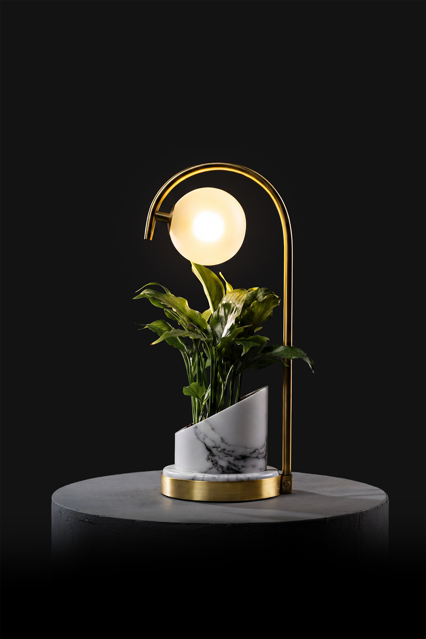 Arabescato / Polished Brass / Spathiphyllum