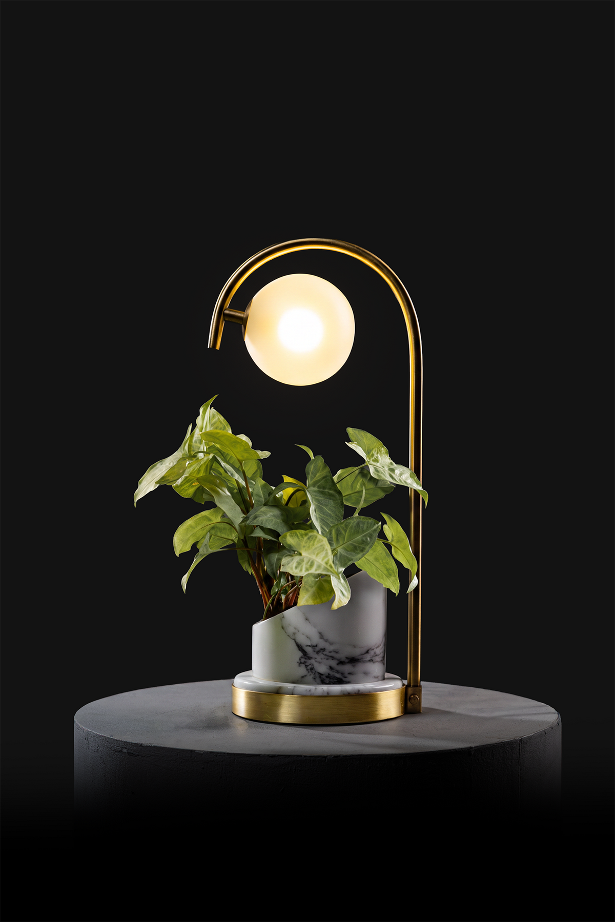 Arabescato / Polished Brass / Custom