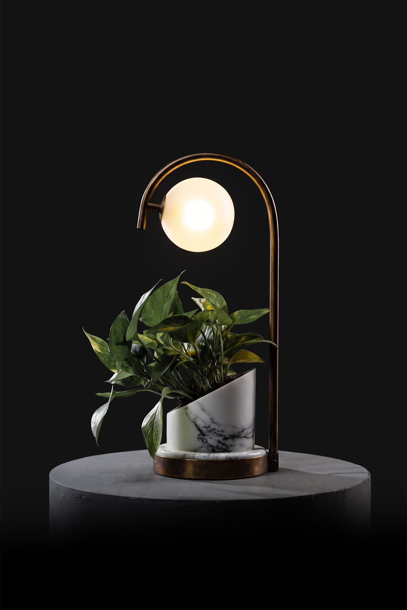Arabescato / Oxidised Brass / Patus