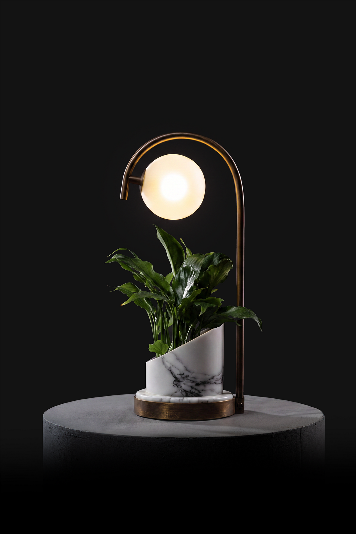 Arabescato / Oxidised Brass / Spathiphyllum