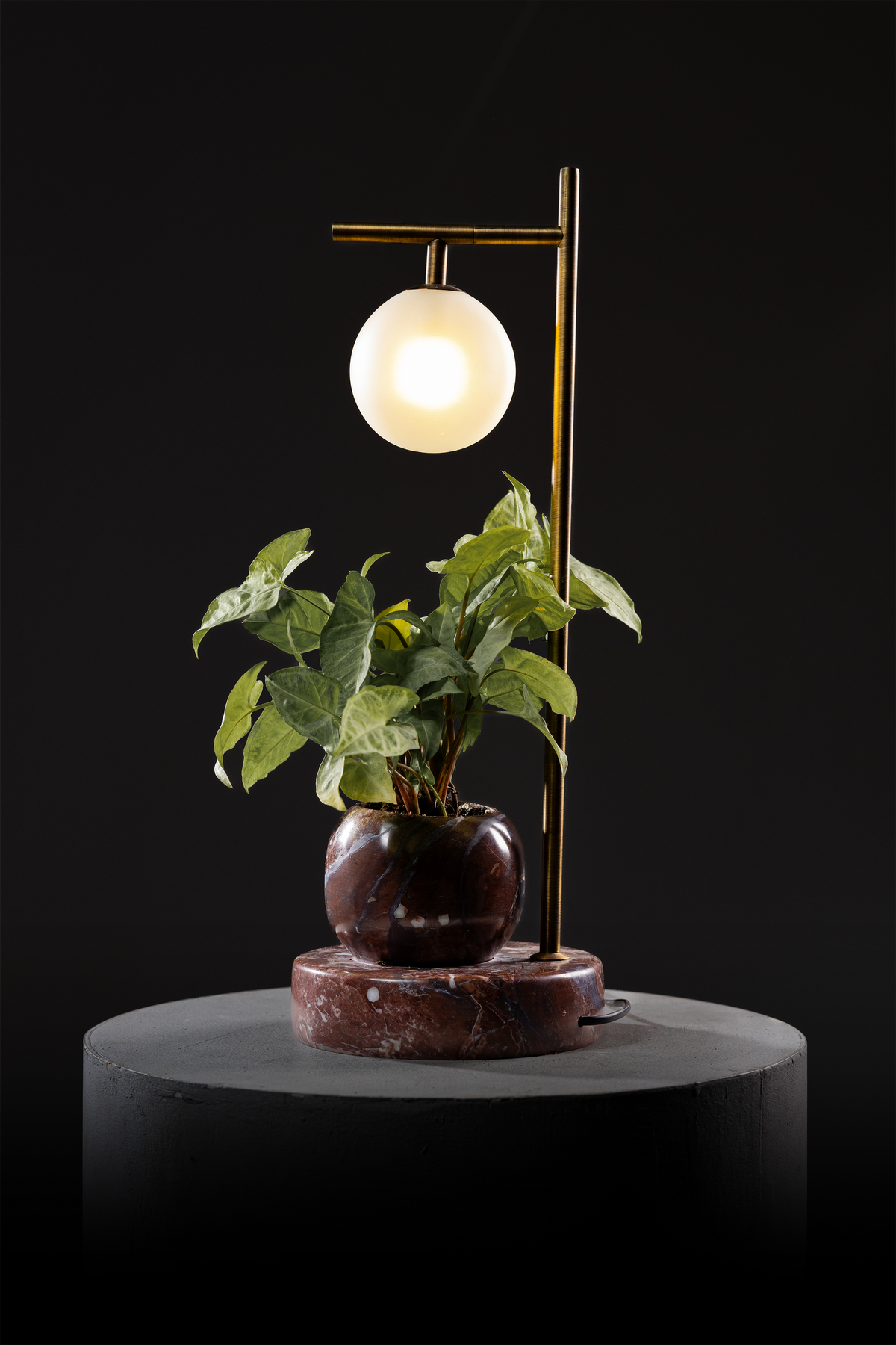 Daijur Drop illuminated