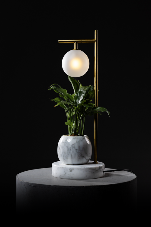 Daijur Drop illuminated